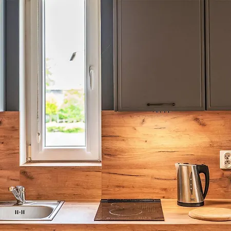 Zenit By Interhome Appartement